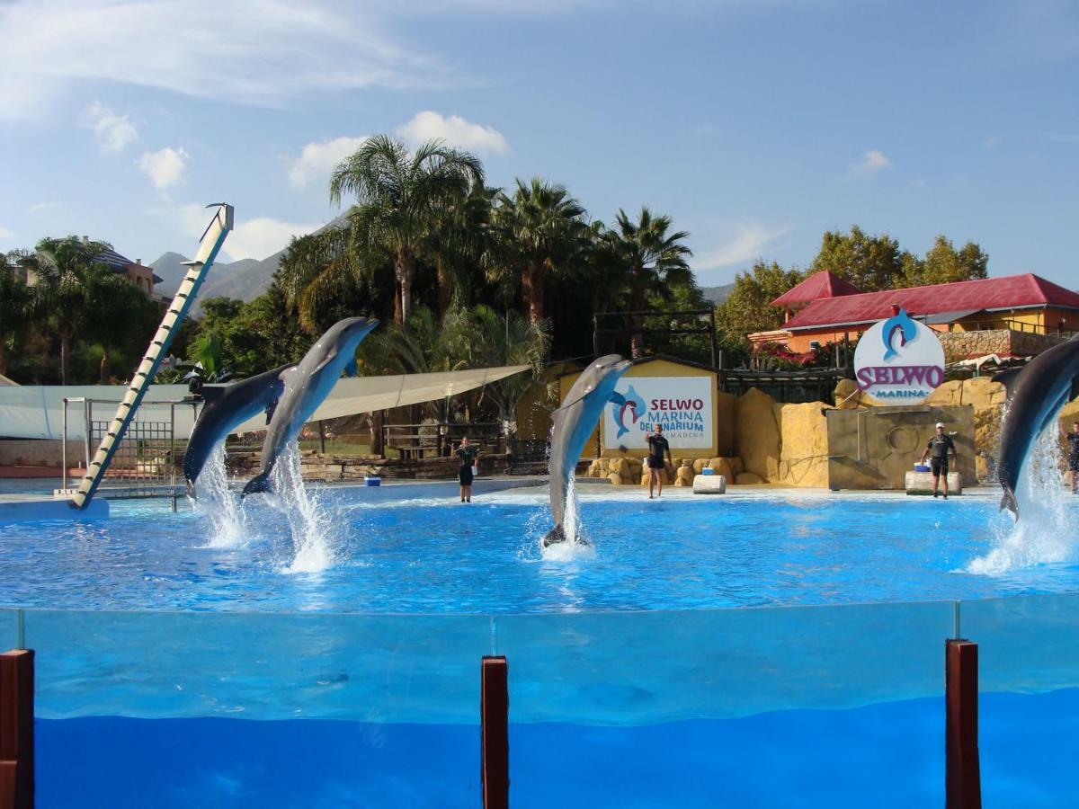 Benalmadena Costa Sol Holiday Rentals Екстер'єр фото
